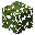 Oak Leaves — Minecraft block